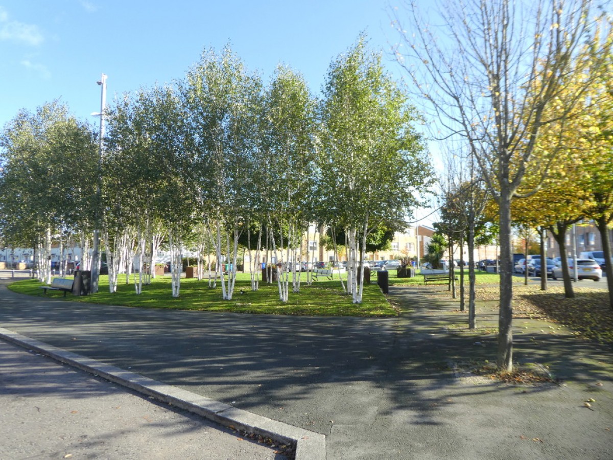 Images for Greengage, Grove Village EAID:b3a365785e0c608c1a78df24ce0289fd BID:1